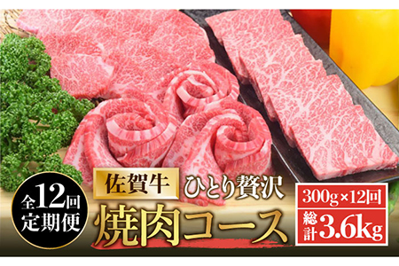 【全12回定期便】佐賀牛希少部位含む?ひとり贅沢焼肉コース? ランプ/クリ/トウガラシ/ザブトン/カイノミなど【ミートフーズ華松】 ブランド 高級 和牛 霜降り BBQ やわらか 冷凍 料理  精肉 牛肉 希少 赤身 イチボ ランプ ミスジ [FAY073]