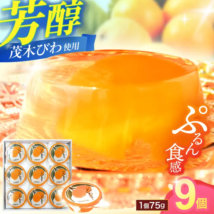 長崎特産「茂木びわゼリー」(9個入り) / びわゼリー ゼリー びわ ビワ 枇杷 / 諫早市 / 橋本屋本舗 [AHCP004]
