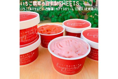いちご農家の自家製SWEETS　いちご（あすかルビー・古都華）のアイスクリーム 10個入（化粧箱入）〇