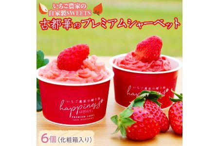 いちご農家の自家製SWEETS 古都華のプレミアムシャーベット6個（化粧箱入り）◇
