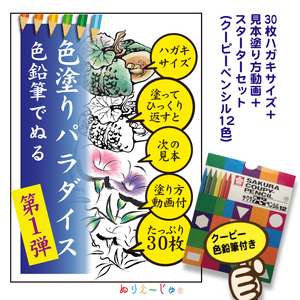 色鉛筆付き「色塗りパラダイス」と称してハガキサイズ色鉛筆で初めての方も安心のスターターセット【30枚＋12色の色鉛筆】見本が見やすく塗り方説明動画のオマケ付き。たっぷりの絵柄にドンドン挑戦できるのが特徴 ※着日指定不可