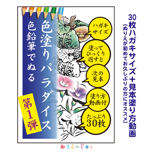 「色塗りパラダイス」ハガキサイズ色鉛筆で初めての方も安心【30枚】見本が見やすく塗り方説明動画のオマケ付き。たっぷりの絵柄にドンドン挑戦できるのが特徴。 ※着日指定不可