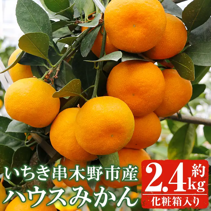 【先行予約！】みかん 約2.4kg（化粧箱入ハウス みかん 25玉・30玉・36玉）【00-039-01】