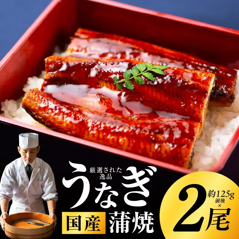 【高評価 2尾】国産うなぎ 合計250g