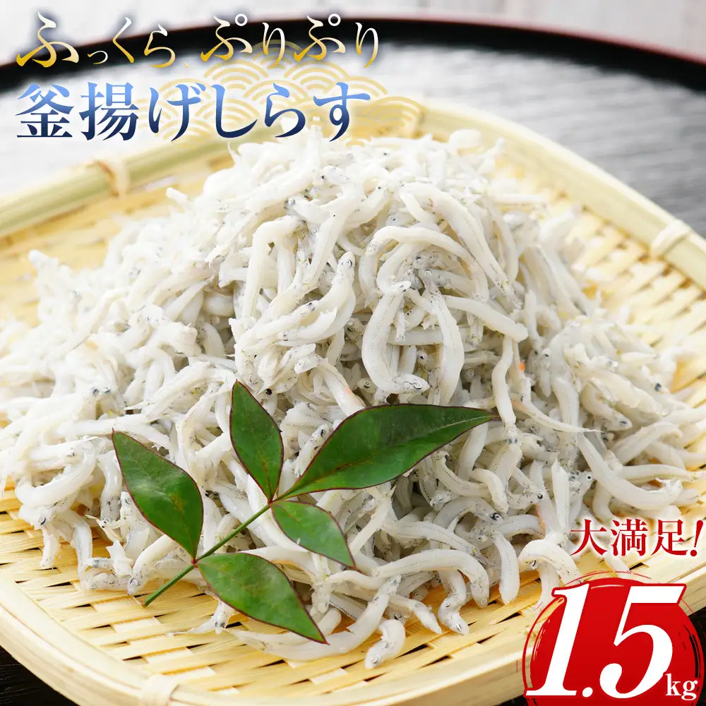＼注文数急上昇／釜揚げしらす　1.5kg　しらす　