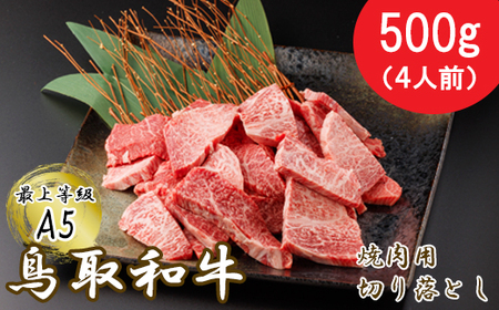 【A5】鳥取和牛ふぞろい焼肉切り落とし 500g【肩ロース サーロイン 三角バラ ランプ ヒレ ランダム 焼き肉 やきにく 切落し 切り落し 和牛 不揃い ご自宅用 ギフト 熨斗 プレゼント お取り寄せ グルメ 冷凍】