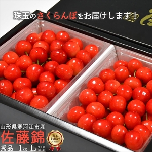 令和8年産 さくらんぼ 「佐藤錦」Lサイズ以上 秀品 1kg（500g×2） バラ詰め 山形県産 2026年産 【2026年6月上旬頃〜下旬頃発送予定】 ※配送不可 沖縄・離島 034-A-CS010