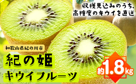 紀の姫キウイフルーツ約1.8kg