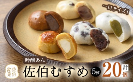 ひとくちまんじゅう 佐伯むすめ (計20個・5種×4個) 饅頭 饅頭 ひとくち 一口 薄皮 みそ 黒糖 抹茶 チーズ スイーツ お菓子 おやつ 焼き菓子 和菓子 詰め合わせ 個装 常温 大分県 佐伯市【AG95】【お菓子のウメダ】