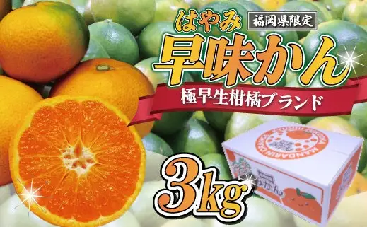 【2026年9月中旬より順次発送】JAむなかたブランドみかん（早味かん）約3kg[H2280]