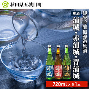【生酒】純米吟醸無濾過原酒「浦城」「赤浦城」「青浦城」720ml 各1本 お酒 日本酒 純米吟醸酒 アルコール 