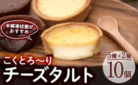 こくとろ～り チーズタルト (合計10個・5種各2個) チーズ スイーツ スウィーツ 菓子 焼き菓子 洋菓子 おやつ 詰め合わせ セット 個装 大分県 佐伯市【ER022】【(株)古川製菓】