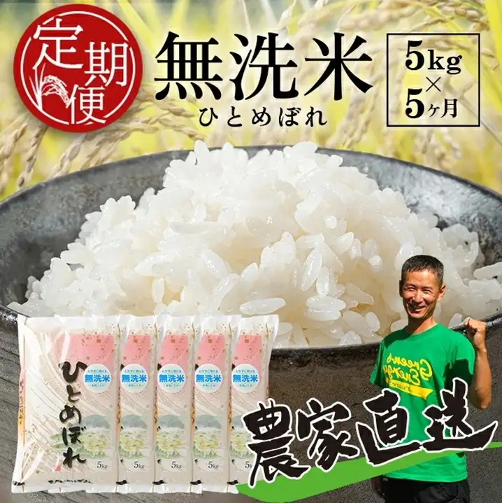 SG0141　【令和8年産 新米予約】≪5回定期便≫ ［無洗米］ひとめぼれ　5kg×5回(計25kg)　農家直送・鳥海山麓やわたの米 TR