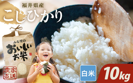 【先行予約】【令和8年産・新米】【白米10kg×1袋】福井県産 コシヒカリ10kg 【2026年10月上旬以降順次発送】 [B-8918_01]