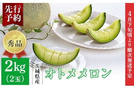 007-2 オトメメロン 秀品 2玉 約2kg 茨城県 JA水戸産