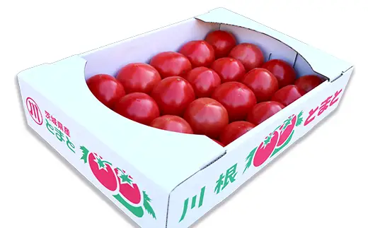 030 茨城町産トマト4kg（15～24玉）完熟