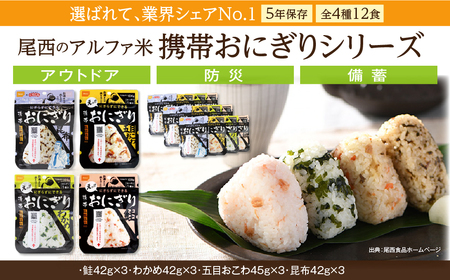 米 災害 備蓄ごはん おにぎり12個セット アルファ米 ごはん 大崎市 尾西食品