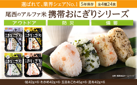 非常食 携帯おにぎり 24個 保存食 防災 アルファ米 尾西食品