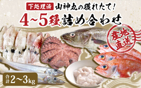 鮮魚 詰め合わせ 2～3kg（4～5種）下処理済み 魚 宮城県産