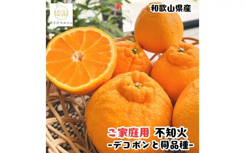 有田育ちの濃厚 不知火 ( デコポン と同品種)( 訳あり 家庭用 )  10kg+200g(痛み補償分) ※2027年1月下旬～3月下旬に順次発送【ard023C】