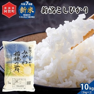 米 10kg 《 新潟県産 コシヒカリ みかわ稲穂の舞 》 令和7年産 5kg × 2袋 阿賀 三川 | こしひかり 白米 精米 送料無料 お取り寄せ お米 金賞受賞