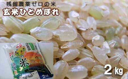 2025年産　農薬アレルギーの方でも安心！「残留農薬０の米R」玄米ひとめぼれ おためし２kg 【286】