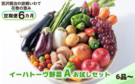 【定期便６ヶ月】イーハトーヴ野菜A お試しセット 6品～【294】