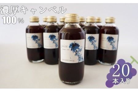 砂糖不使用 ブドウだけ！ 濃厚キャンベルジュース小瓶（180ml）20本セット 【615】