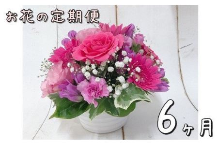 お花の定期便 フラワーアレンジメント 6ヶ月連続届く 【759】