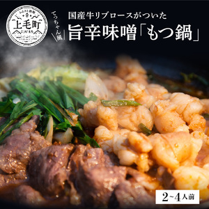 ぶどうの樹　もつ鍋　てっちゃん風　国産牛ロース付き【2～4人前】_KG0104