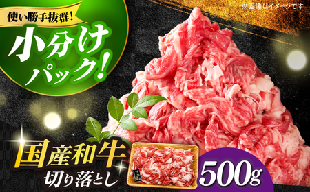 福岡県産  博多和牛  切り落とし 500g  切り落とし [ABBP004] 