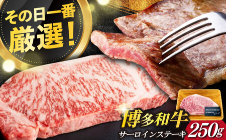 博多和牛 サーロイン ステーキ 250g×1枚 [ABBP006] ステーキ 牛肉