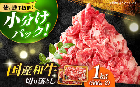 福岡県産  博多和牛 牛肉切り落とし 1000g  / 牛肉切り落とし [ABBP010] 