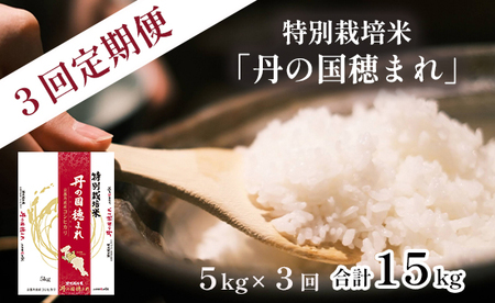 【定期便】令和7年度産 特別栽培米 丹の国穂まれ 精米 5kg×3回