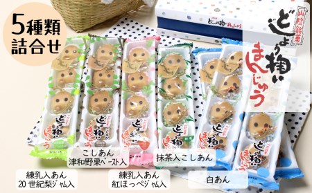 どじょう掬いまんじゅう5種類セット【饅頭 ひょっとこ おやつ 和菓子 餡子 白餡 こしあん 抹茶あん 梨あん 苺あん セット 食べ比べ 上品 昔ながら 島根県 安来市】【価格改定】