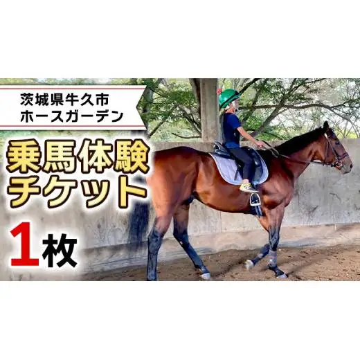 乗馬体験１回コース