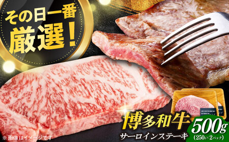 博多和牛 サーロイン ステーキ セット 500g(250g×2枚) 牛肉 肉 [ABBP013] 