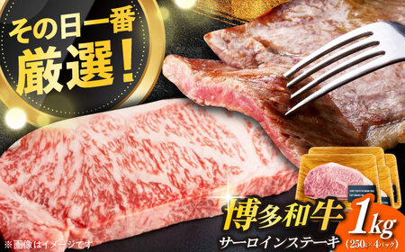 福岡県産 博多和牛 サーロインステーキ 1kg ステーキ  [ABBP015] 