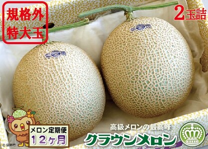 【12ヶ月定期便】クラウンメロン　規格外特大玉（約1.7kg）2玉入 果物類 メロン青肉 
