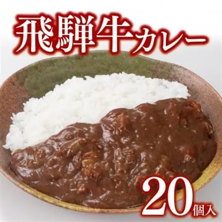 飛騨牛カレー20個セット(200g×20食)冷凍食品　レトルトカレー【配送不可地域：離島】【1304876】