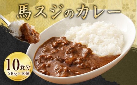 馬スジのカレー 10食 セット 合計2.1kg カレー レトルト