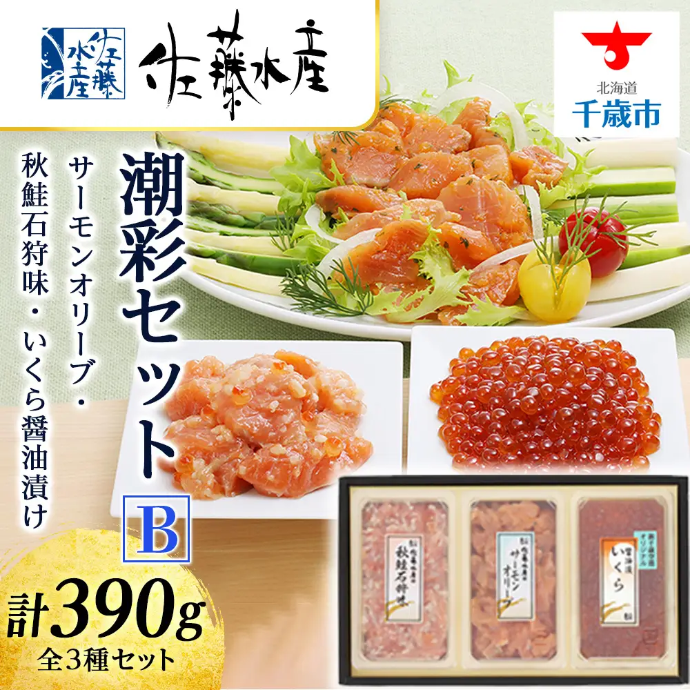 佐藤水産 潮彩セットB(サーモンオリーブ・石狩味・いくら醤油漬)