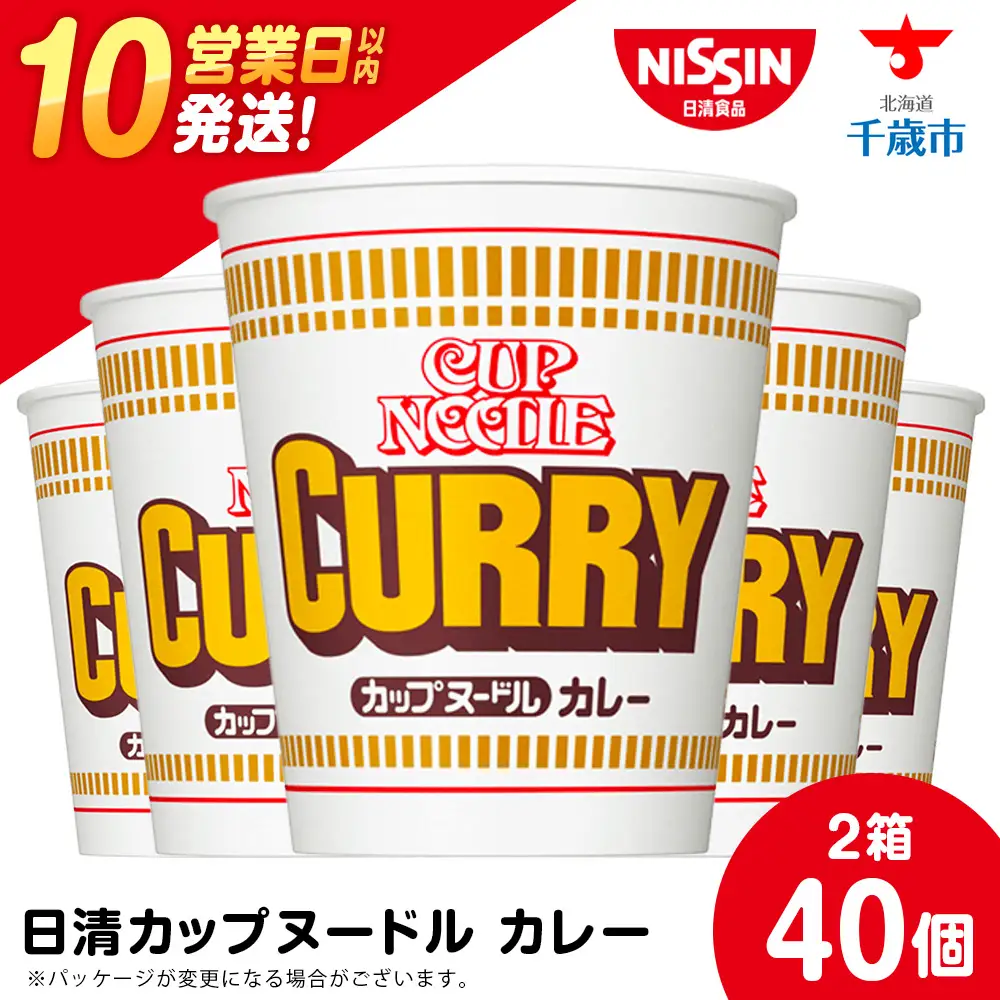 10営業日以内発送 日清★カレーヌードル★2箱 合計40食