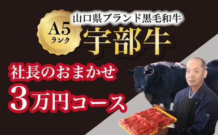 【山口宇部牛】社長おまかせ＜３万円コース＞黒毛和牛Ａ５ランク宇部牛 AX11-FN　（黒毛 和牛 宇部 山口 和牛 極上 和牛 牛 A5ランク 和牛 サーロイン ローストビーフ ステーキ）