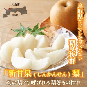DS-16　新甘泉梨 5kg（赤秀限定）