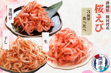 b100-049　【定期便3回お届け】焼津特選桜えび3種類食べ比べ 