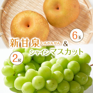 【先行予約】新甘泉6玉とシャインマスカット2房 ※8月下旬～9月中旬頃に順次発送予定 【シャインマスカット シャイン マスカット 葡萄 ぶどう 梨 なし しんかんせん フルーツ 果物 鳥取県 北栄町 おすすめ 人気】