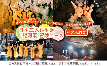 【日本三大鍾乳洞】龍河洞 冒険コース 《ペア入洞券》 チケット 体験 冒険 鍾乳洞 洞窟 地下 観光 歴史 自然