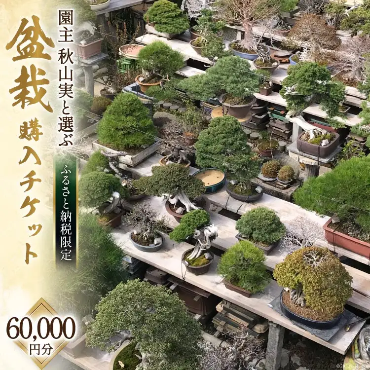 【ふるさと納税限定】盆栽 ぼんさい 鉢 園主 「秋山実」と選ぶ ｜盆栽購入 チケット 60,000円分 限定 セレクト 芸術 自然 [秋山園 山梨県 韮崎市 20740912]