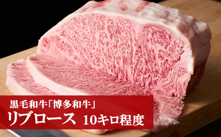 M55 「博多和牛」リブロース【10キロ程度】